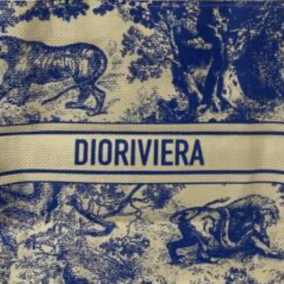 DIOR STRAW GWP TOTE RARE BLUE DIORIVIERA - Picture 2 of 6